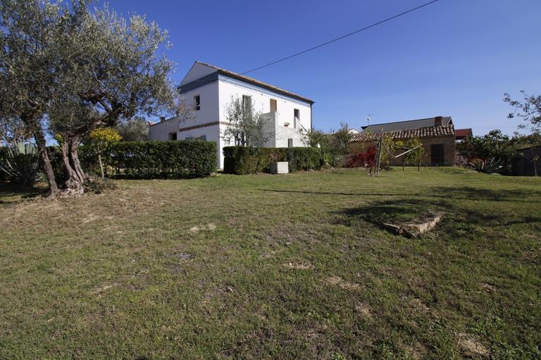 Pruning carried out in compliance with the natural cycles of plants, to promote growth, balance and beauty.