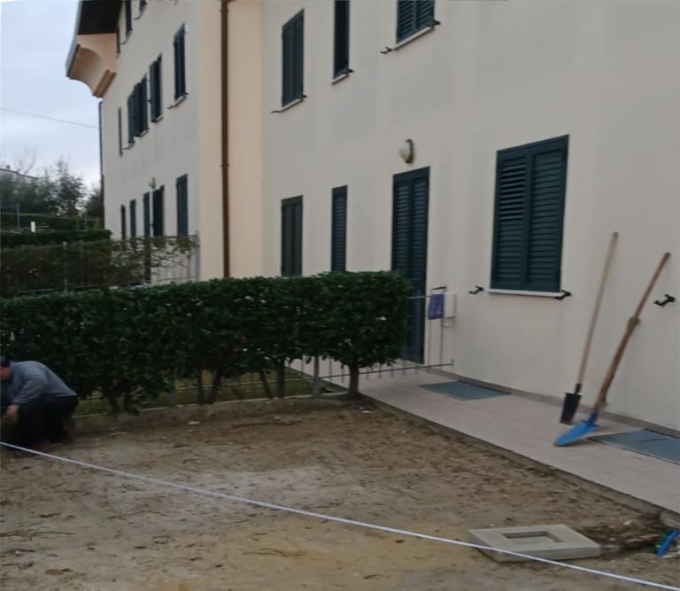 Pruning carried out in compliance with the natural cycles of plants, to promote growth, balance and beauty.